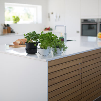 Kitchen Bar Stools in Barrie